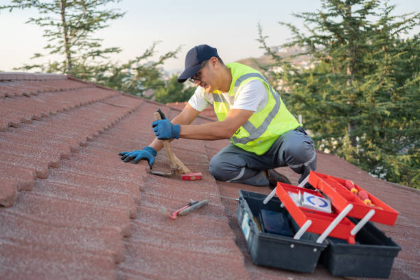 Best Metal Roofing Contractor  in Rushford, MN