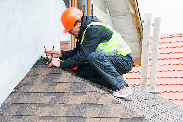 Best Gutter Installation and Roofing  in Rushford, MN